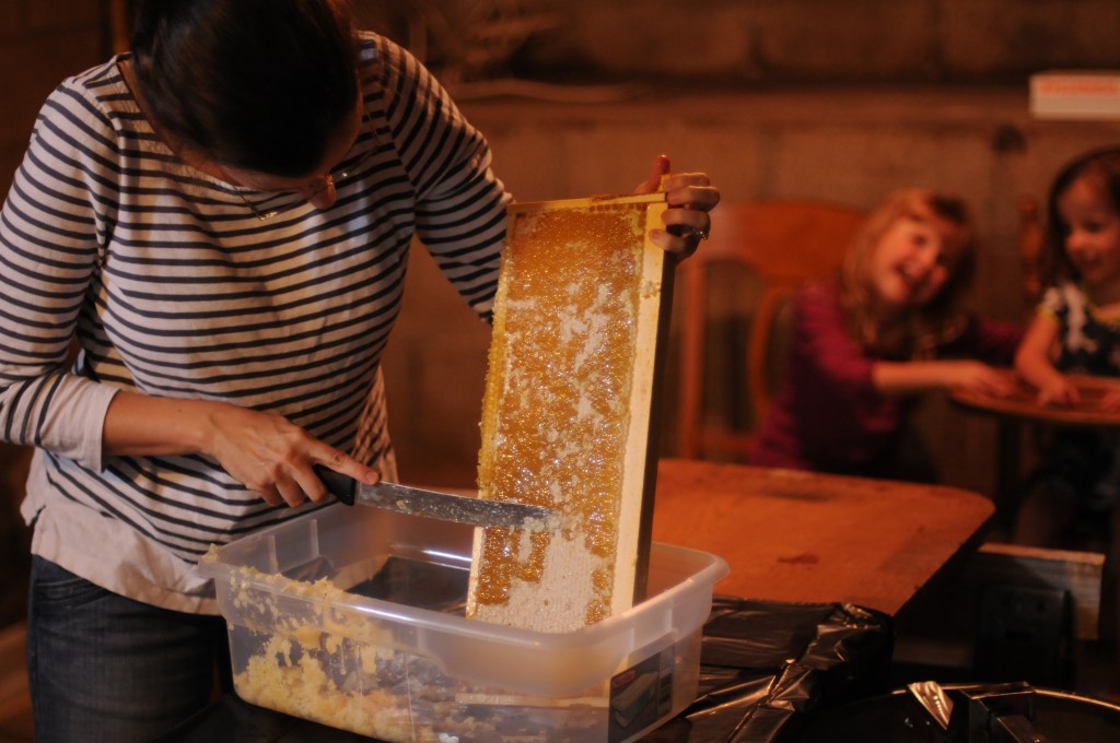 DSC_7307