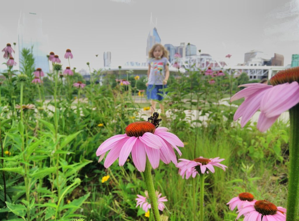 Summer is here! Captured in Cumberland River park, just across from downtown Nashville.